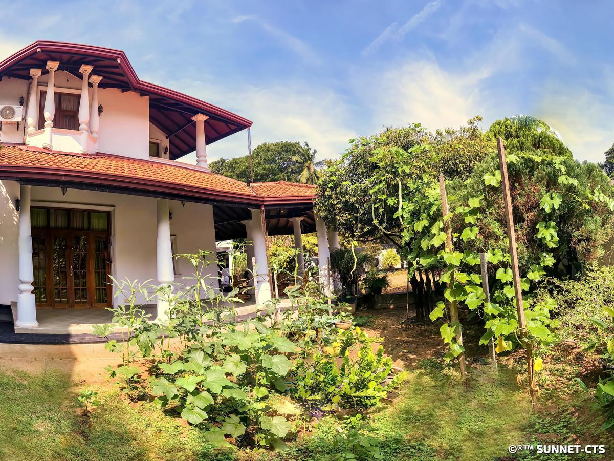 Ceylon Pearlwing Resort Negombo Esterno foto